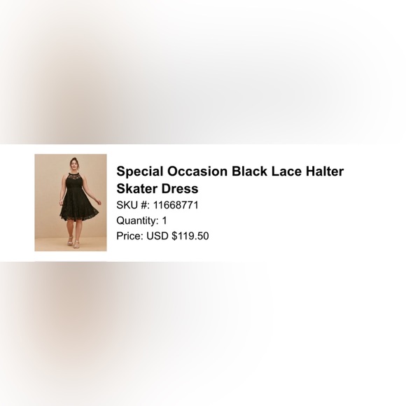BRAND NEW Black Lace Halter Dress (size 24 - Torrid) - Picture 3 of 4